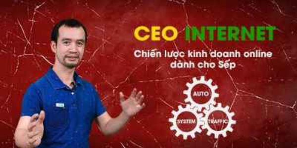 CEO INTERNET - CHIẾN LƯỢC KINH DOANH ONLINE DÀNH CHO SẾP