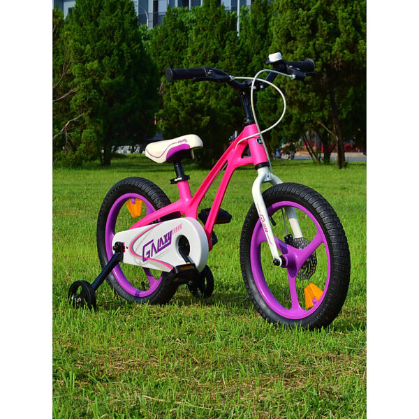 XE ĐẠP TRẺ EM ROYALBABY GALAXY FLEET 16''
