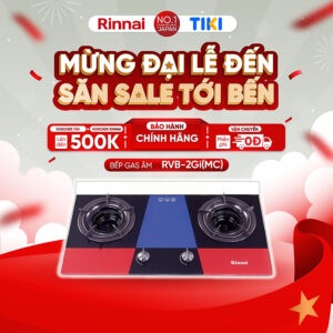 Bếp gas âm đầu đốt trong Rinnai RVB-2Gi(MC) mặt bếp kính và kiềng bếp men - Hàng chính hãng